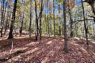 147 Mitchell Brook Rd, Temple, ME 04984 - Photo 63