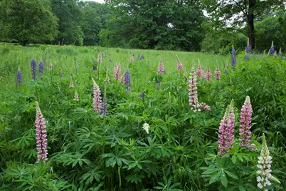 147 Mitchell Brook Road, Temple, ME 04984 - Photo 51