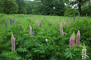 147 Mitchell Brook Rd, Temple, ME 04984 - Photo 51