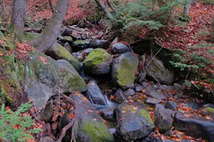 147 Mitchell Brook Rd, Temple, ME 04984 - Photo 9