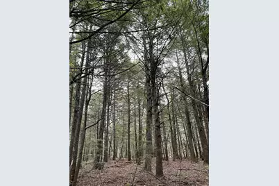 Lot 3-B West Branch Road, Mariaville, ME 04605 - Photo 17