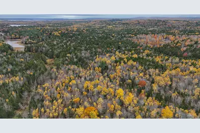 Lot 3-B West Branch Road, Mariaville, ME 04605 - Photo 3