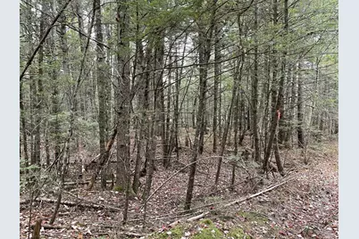 Lot 3-B West Branch Road, Mariaville, ME 04605 - Photo 7