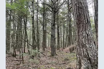 Lot 3-B West Branch Road, Mariaville, ME 04605 - Photo 15