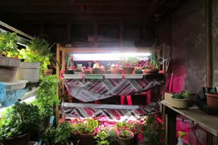 146 E Main St, Paris, ME 04281 - Photo 49