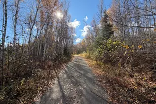 76 Wolf Run Trl, Greenbush, ME 04418 - Photo 5