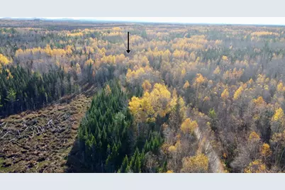 76 Wolf Run Trail, Greenbush, ME 04418 - Photo 3