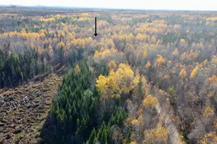 76 Wolf Run Trl, Greenbush, ME 04418 - Photo 3