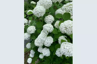 20 Toms Trail, Greenville, ME 04441 - Photo 85