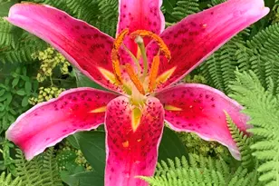 20 Toms Trail, Greenville, ME 04441 - Photo 77