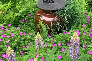 20 Toms Trail, Greenville, ME 04441 - Photo 87