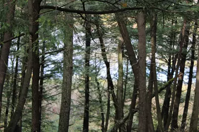 735 Sandy River Road, Starks, ME 04911 - Photo 39