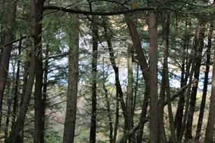 735 Sandy River Rd, Starks, ME 04911 - Photo 39