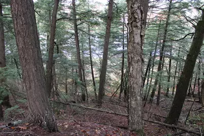 735 Sandy River Road, Starks, ME 04911 - Photo 43