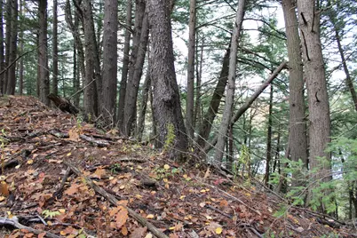 735 Sandy River Road, Starks, ME 04911 - Photo 41