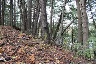 735 Sandy River Rd, Starks, ME 04911 - Photo 41