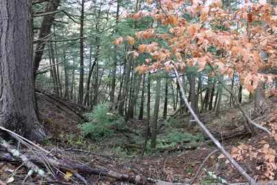 735 Sandy River Road, Starks, ME 04911 - Photo 37