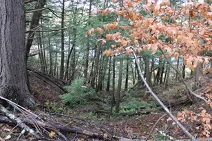 735 Sandy River Rd, Starks, ME 04911 - Photo 37