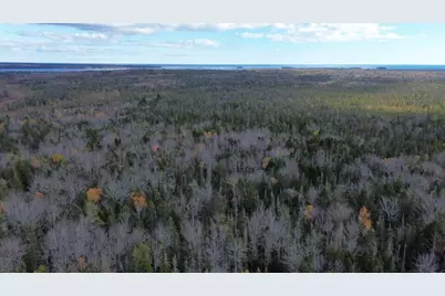 M51 L8 Grand Marsh Bay Road, Gouldsboro, ME 04624 - Photo 25