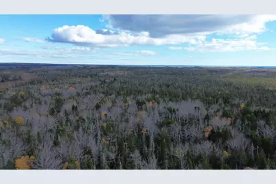 M51 L8 Grand Marsh Bay Road, Gouldsboro, ME 04624 - Photo 27