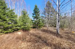 29 Reef Point Rd, Addison, ME 04606 - Photo 5