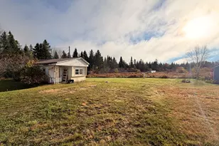 1227 Frenchville Rd, Ashland, ME 04732 - Photo 3