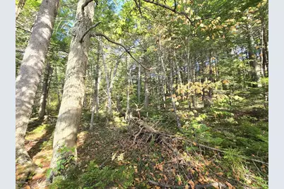 440 Railroad Bed Road, Lake View Plantation, ME 04463 - Photo 15