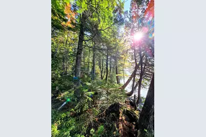 440 Railroad Bed Road, Lake View Plantation, ME 04463 - Photo 13