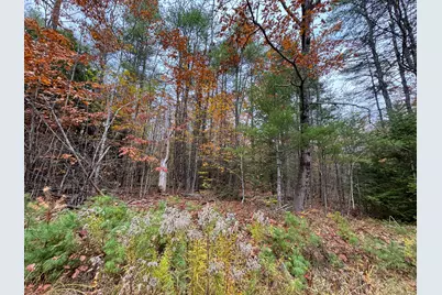 Lot 57B Dodge Road, Dresden, ME 04342 - Photo 7