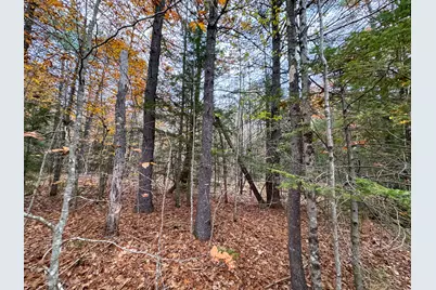 Lot 57B Dodge Road, Dresden, ME 04342 - Photo 9