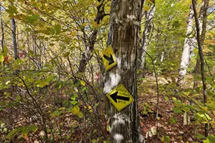 0 Canton Mountain Rd, Canton, ME 04221 - Photo 85