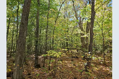 0 Canton Mountain Road, Canton, ME 04221 - Photo 69