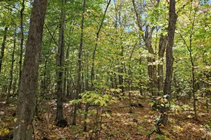 0 Canton Mountain Rd, Canton, ME 04221 - Photo 69