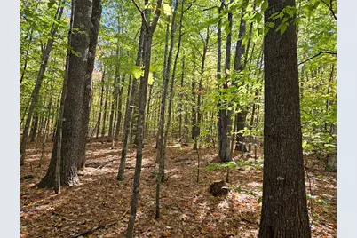 0 Canton Mountain Road, Canton, ME 04221 - Photo 93