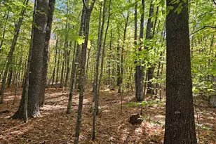 0 Canton Mountain Rd, Canton, ME 04221 - Photo 93