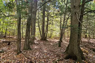 0 Canton Mountain Rd, Canton, ME 04221 - Photo 87