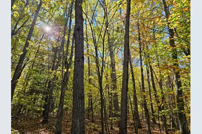 0 Canton Mountain Road, Canton, ME 04221 - Photo 91
