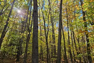 0 Canton Mountain Rd, Canton, ME 04221 - Photo 91