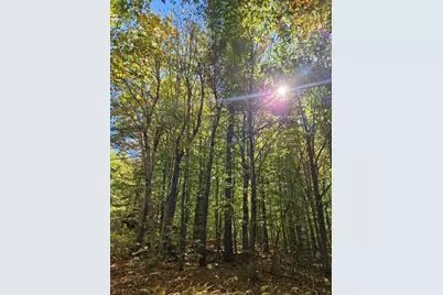 0 Canton Mountain Road, Canton, ME 04221 - Photo 81