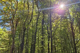 0 Canton Mountain Rd, Canton, ME 04221 - Photo 81