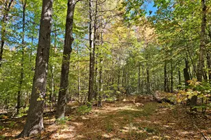 0 Canton Mountain Rd, Canton, ME 04221 - Photo 57