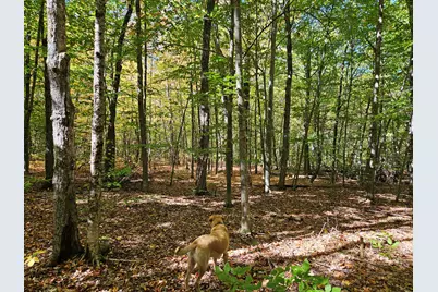 0 Canton Mountain Road, Canton, ME 04221 - Photo 63