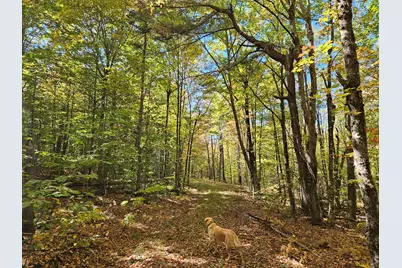0 Canton Mountain Road, Canton, ME 04221 - Photo 65