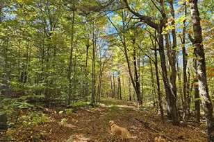 0 Canton Mountain Rd, Canton, ME 04221 - Photo 65