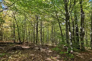 0 Canton Mountain Rd, Canton, ME 04221 - Photo 73