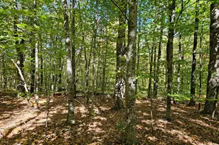 0 Canton Mountain Rd, Canton, ME 04221 - Photo 79