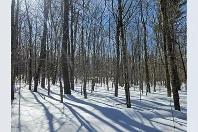 0 Canton Mountain Road, Canton, ME 04221 - Photo 13