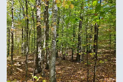 0 Canton Mountain Road, Canton, ME 04221 - Photo 61