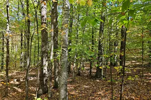 0 Canton Mountain Rd, Canton, ME 04221 - Photo 61