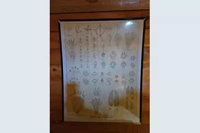 0 Canton Mountain Road, Canton, ME 04221 - Photo 49